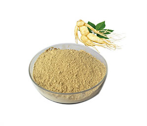 Ginseng Extract